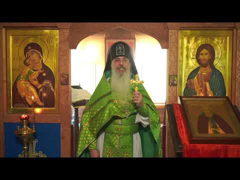 Видео: Об одном из отвратительнейших грехов.