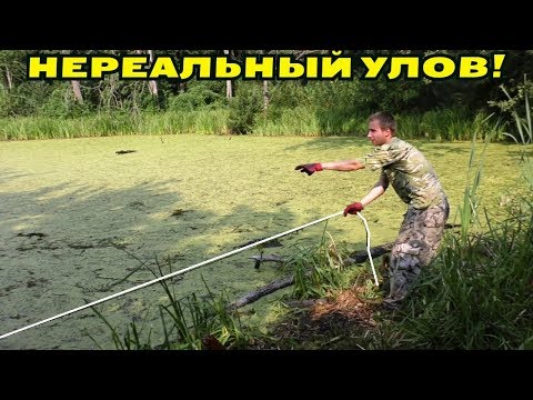 Видео: НЕРЕАЛЬНО ПОРЫБАЧИЛИ МАГНИТОМ В БОЛОТЕ! МАШИНУ ЗАГРУЗИЛИ НАХОДКАМИ! В Поисках Клада от Влада!