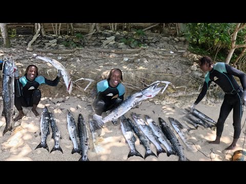 Видео: Мой самый большой улов барракуды с 2025 года. Я снова творю историю на Ямайке 🇯🇲