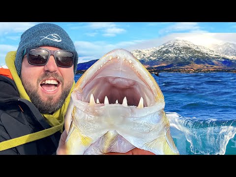 Видео: 100лв =1кг ХВАНАХ НАЙ-СКЪПАТА РИБА в ГЪРЦИЯ!!!