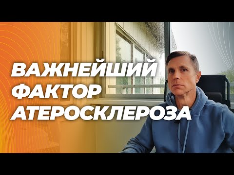 Видео: Сложно, долго и нудно : Почему у разных людей по-разному образуются атеросклеротические бляшки.