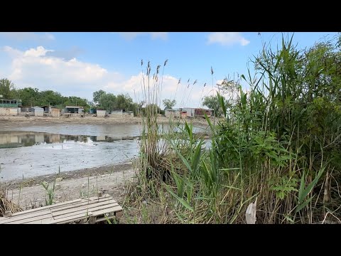 Видео: Запорожье. Беленькое.😢