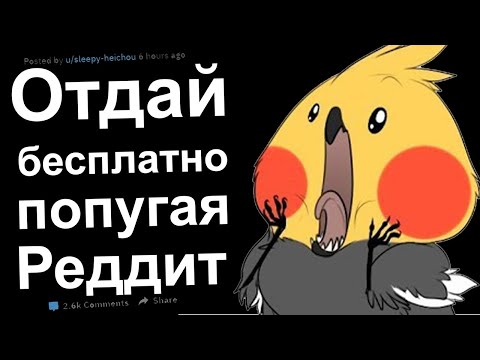 Видео: ТыЖеХУДОЖНИК, РИСУЙ БЕСПЛАТНО. ОТДАЙ БЕСПЛАТНО РЕДДИТ
