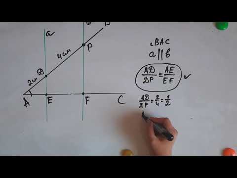 Видео: Пропорциональные отрезки