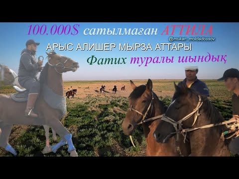 Видео: Алишер мырза аттары |Аттила| |Фатих| Шындықтар ашылды