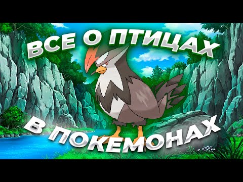 Видео: Все о начальных(региональных) птицах @Svorob