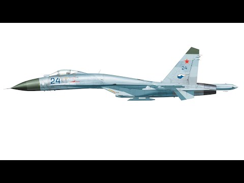 Видео: Су-27: всё то же самое, только ночью | DCS