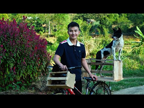 Видео: От трудностей к счастливой улыбке на первом велосипеде — начало нового будущего.