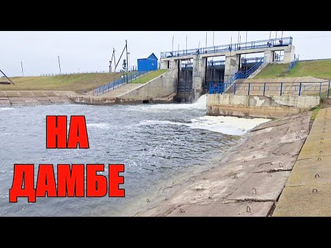 Видео: ДАМБА. Заглянули ПОД ВОДУ. Что на дне?