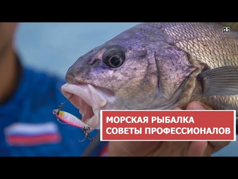 Видео: МОРСКАЯ РЫБАЛКА  СОВЕТЫ ПРОФЕССИОНАЛОВ часть 2