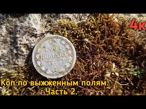 Видео: Коп в туле с минелаб стх 3030.