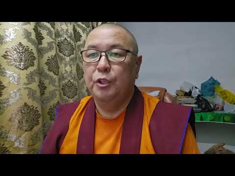 Видео: Рекомендации по питанию на 2025 год Змеи