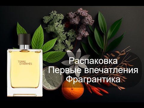 Видео: Terre d'Hermès. РАСПАКОВКА И ПЕРВЫЕ ВПЕЧАТЛЕНИЯ + читаем фрагрантику!
