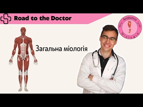 Видео: Загальна міологія