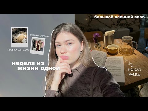 Видео: неделя из жизни одной | учеба,покупки для дома и смена образа