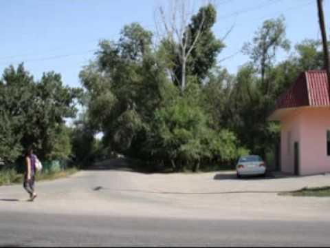Видео: ДМИТРИЕВКА-БАЙСЕРКЕ.