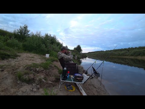 Видео: Я ЕГО ПРОСТО ВЫКОРМИЛ! ОТКРЫЛСЯ ПО ФИДЕРУ И СРАЗУ С БОНУСА \ НОЧЬ НА БЕРЕГУ, РЫБАЛКА ЛЕТО 2023 !