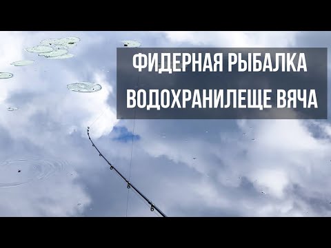 Видео: КЛЮЕТ НА КАЖДОМ ЗАБРОСЕ! Рыбалка на водохранилище Вяча