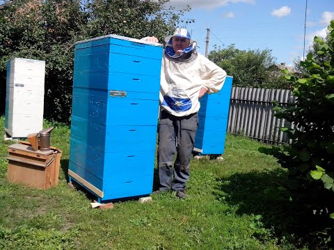 Видео: Двухматочное пчеловодство. Ответ на вопрос подписчика.