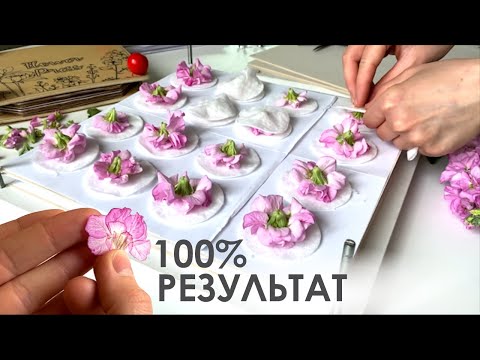 Видео: Как засушить МАТТИОЛУ? 🌸 Mattiola FLOWERS Pressing Tutorial 🌸