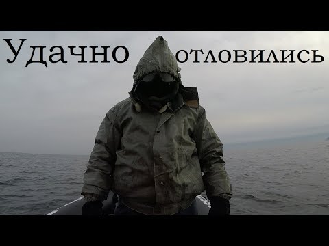 Видео: Удачно отловились на Кильдине Восточном / Successfully caught on Kildin East