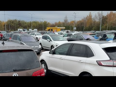 Видео: НАЖИВО‼️Автобазар ‼️Листопад 2024‼️Чому така активність ⁉️