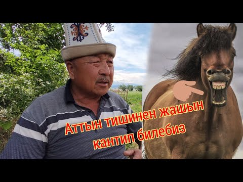 Видео: САЙАПКЕРДИН КЕНЕШТЕРИ  ээн кызык маек болду. 17 июня 2021 г.