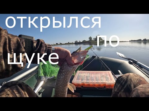 Видео: ЩУКА на ВОБЛЕР.  Открылся по ЩУКЕ. Сентябрь 2025. Воблер Tsuyoki Mover 128 SP.