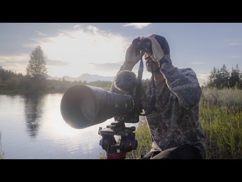 Видео: Я в горах Тетон — Фотосъёмка дикой природы — Sony a7RV + Sony 200-600