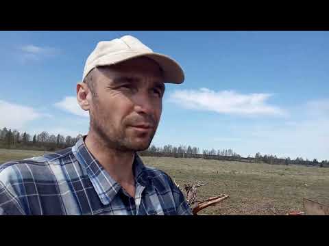 Видео: Мотоблок 👍 Агро 🇷🇺на речный за дровами после  половодье agro tillers Motodlok