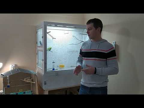 Видео: Содержание и разведение канареек и волнистых попугаев при низких температурах.