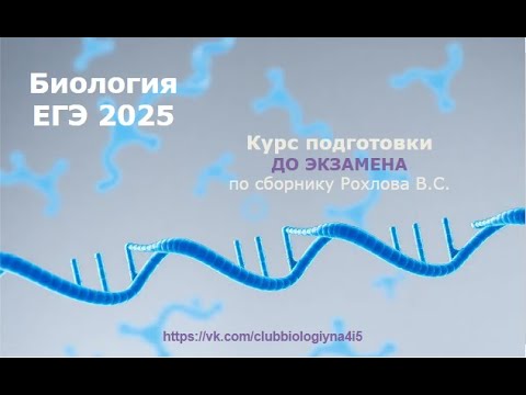 Видео: Биология. Итоги ЕГЭ 2024