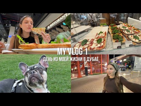 Видео: VLOG 1 /  День из моей жизни в Дубае
