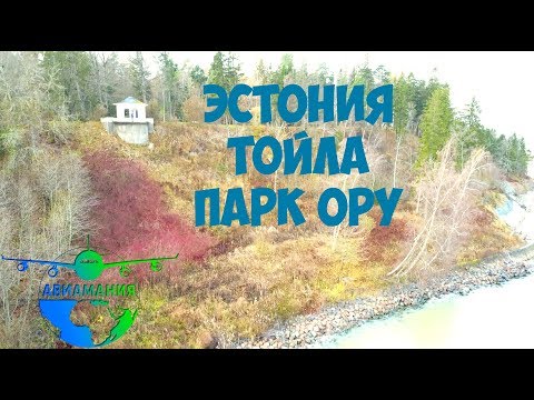 Видео: Тойла Ору Парк Эстония #3 #Авиамания