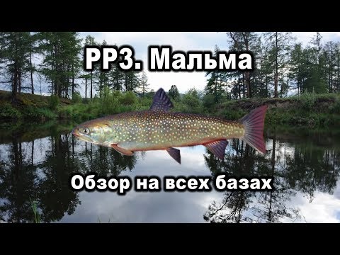 Видео: Русская Рыбалка 3. Мальма. Обзор на всех базах