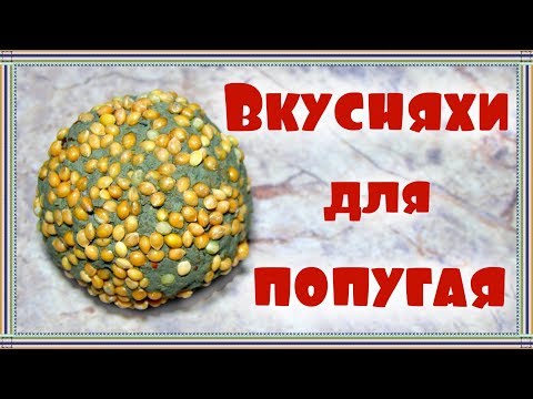 Видео: ЛАКОМСТВО-ШАРИКИ из глины для попугая за 5 минут. Глина для попугая.