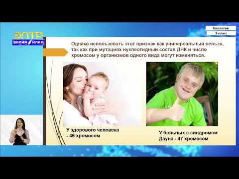 Видео: 9-класс | Биология | Вид как основная систематическая категория живого