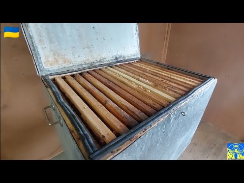 Видео: Перетопка старих рамок-це просто (28.09 22) 😉 🐝