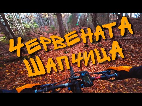 Видео: Червената Шапчица - Златна есен и море от листа (02.11.2025) #MTB #ASMR