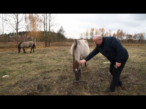 Видео: МОЙ ВЫБОР - СОХРАНИТЬ БЕЛАРУСЬ 20.11.2024