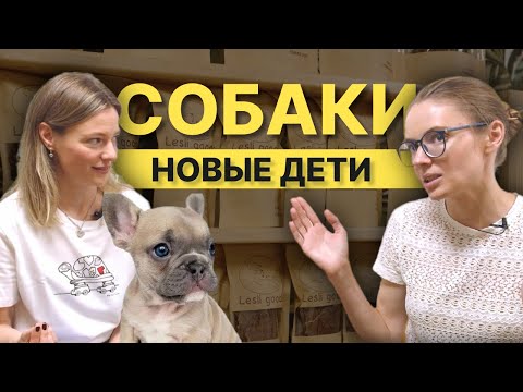 Видео: БИЗНЕС ДЛЯ СОБАЧНИКОВ: лакомства и рационы для собак, груминг салон