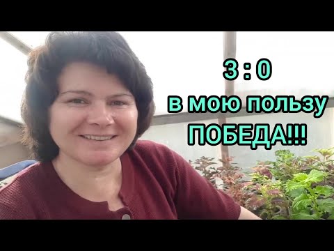 Видео: Мучнистый червец.  Боремся правильно!