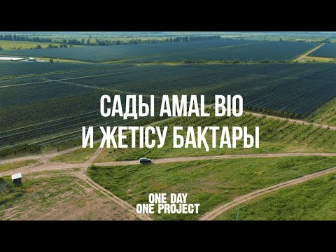 Видео: 1 DAY 1 PROJECT: "Сады Amal Bio и Жетісу бақтары"