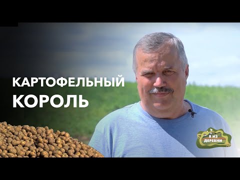 Видео: Картофельное фермерство: выгодно ли? «Я из деревни». Фермер из д. Аронова Слобода