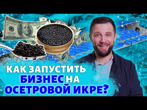Видео: БИЗНЕС ПЛАН осетровой ФЕРМЫ УЗВ на 1 ТОННУ ИКРЫ В ГОД | Сколько ПРИБЫЛИ ПРИНОСИТ икра ОСЕТРОВЫХ?