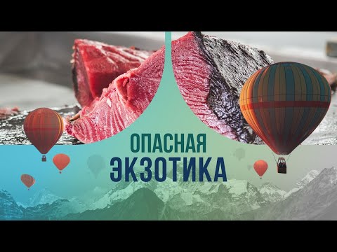 Видео: Опасная экзотика: почему есть мясо китов и дельфинов стало небезопасно?