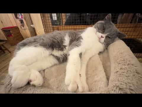 Видео: ЗАКОПАНЕ // КІмната ЗАСПОЄННЯ