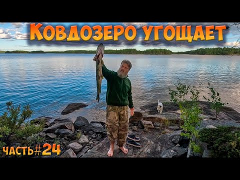 Видео: #24  Рыбный день | Ковдозеро 2023