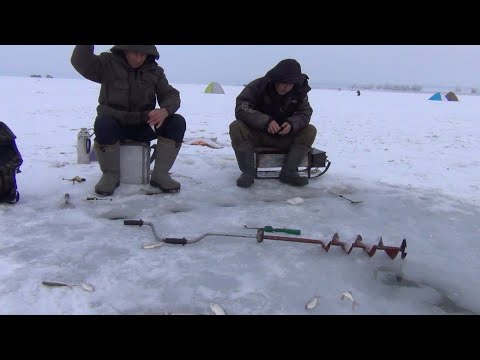 Видео: Штатная рыбалка на Тасоткеле