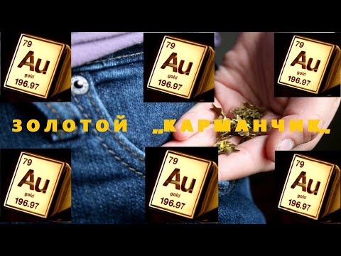 Видео: Нашёл Золотой ''Карманчик'' на ручье!